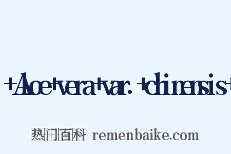+Aloe+vera+var.+chinensis+是什么意思的图片
